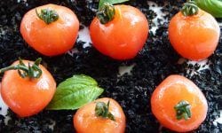 Tomates cherries macerados con aceite de albahaca - Aperitivo