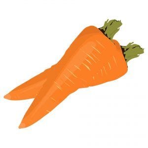 zanahoria - Verduras de verano